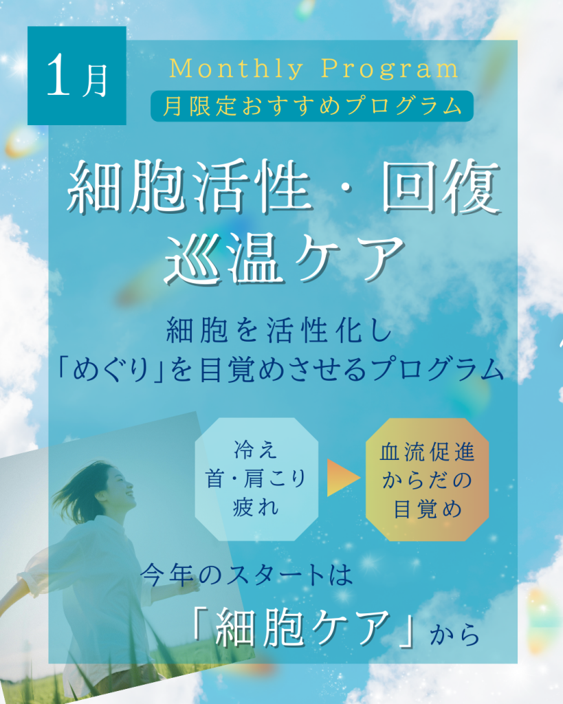 「12ヶ月トータルケアプログラム」 スタート / 1月限定プログラムのご案内｜ヘルスケアサロンsui ｜那覇市首里